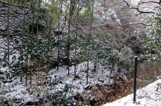 雪
