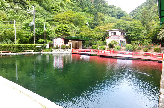 ます池