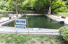 masu08-1