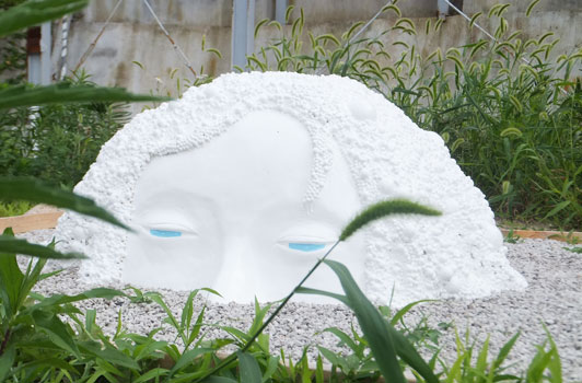 涼しそうです。