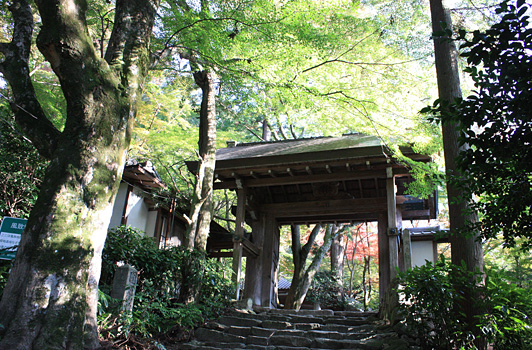 紅葉_瑞宝寺公園01