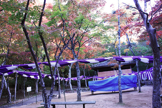 紅葉_瑞宝寺公園03