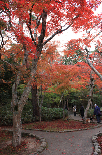 公園内